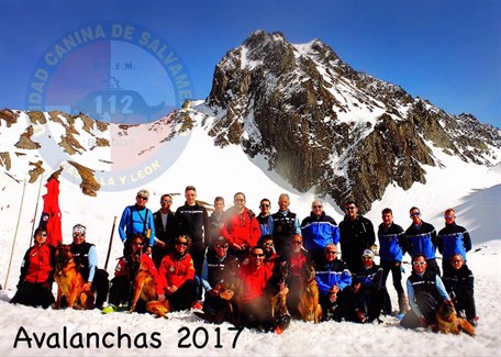 Perros De Búsqueda En Avalanchas . Gendarmerie . Grupo Rescate 112 Castilla Y León . 