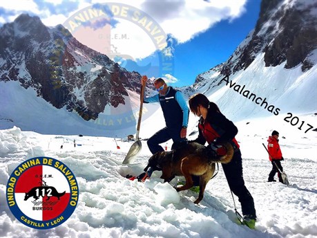 Búsqueda Y Rescate Con Perros En Avalanchas . Gendarmerie . Perros De Rescate . Grupo Rescate 112.