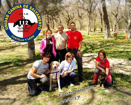 Perros De Rescate Castilla Y León