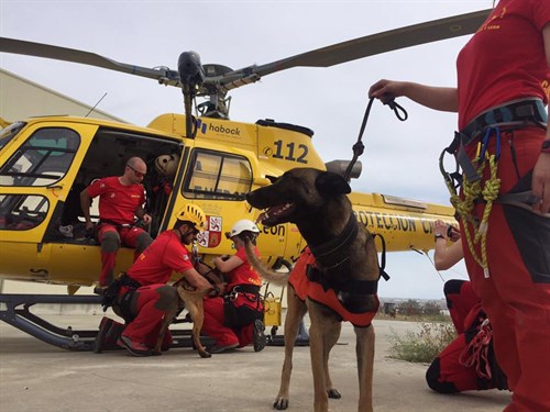 Perros De Búsqueda Y Rescate . 112 Castilla Y Leon Helicópetero De Rescate . Jpg