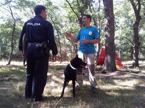 Policía Nacional Grem . Perros De Búsqueda
