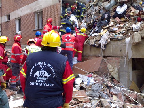 Perros De Rescate . Perros De Búsqueda . Búsqueda En Escombros , Calle Gaspar Arroyo Palencia