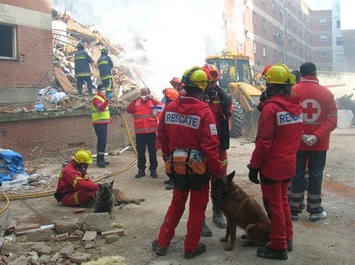 Perros De Rescate . Perros De Búsqueda . Gaspar Arroyo Palencia