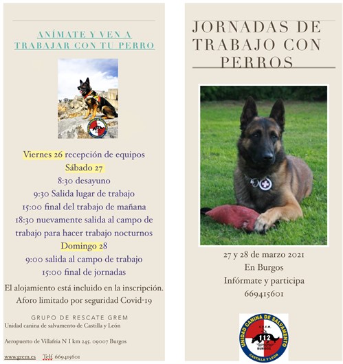 Jornadas De Trabajo Con Perros De Busqueda Y Rescate