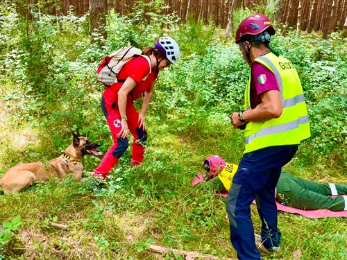 Prueba Homologacion Certificacion Perros De Busqueda Y Rescate