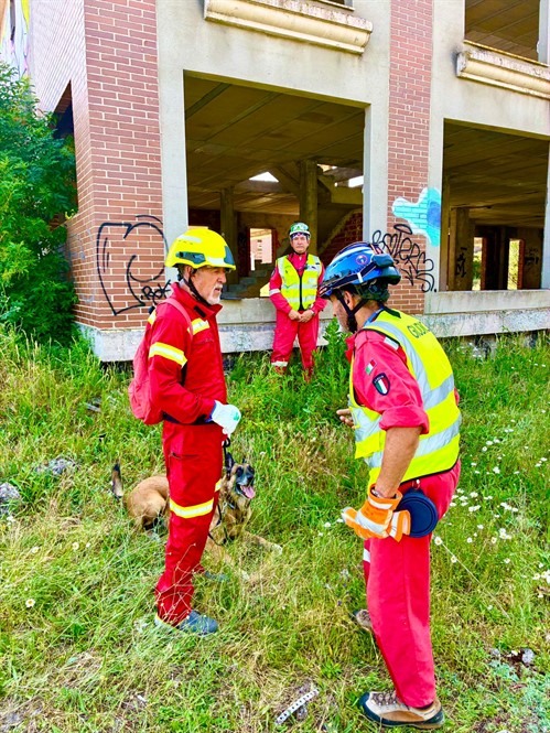 2 Prueba Homologacion Certificacion Perros De Busqueda Y Rescate