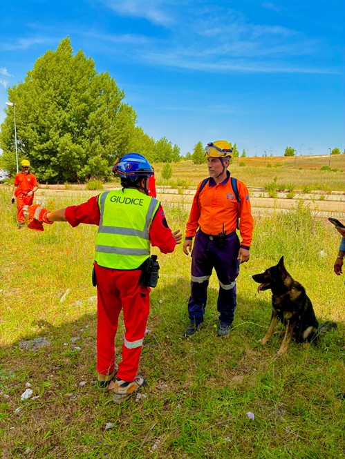 Prueba Homologacion Certificacion Perros De Busqueda Y Rescate SAMUR Proteccion Civil De Madrid