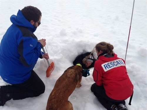 Perros De Búsqueda Y Rescate En Avalanchas . Grem (6) 