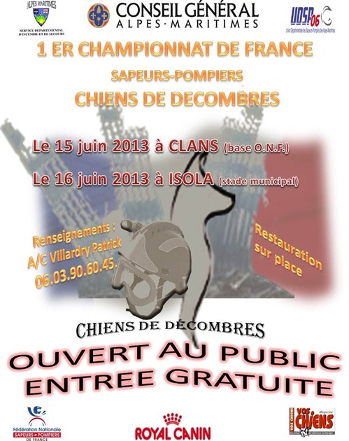 Championnat De France Chiens De Décombres 2013
